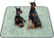 LOOBANI Washable Pee Pads for Dogs: 72"x72" Super Absorbent Reusable Dog Pee
