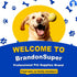 50CT,L,Ultra BrandonSuper Dog Diapers Male Absorbent Disposable Puppy Dog Wraps,Leak-Proof Belly Band for Male Adult