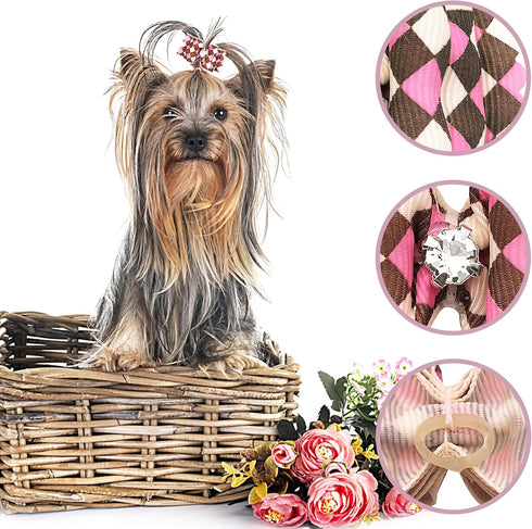 PET SHOW 50pcs Small Dog Hair Bows with Rubber Bands for Grooming Costumes