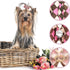 PET SHOW 50pcs Small Dog Hair Bows with Rubber Bands for Grooming Costumes