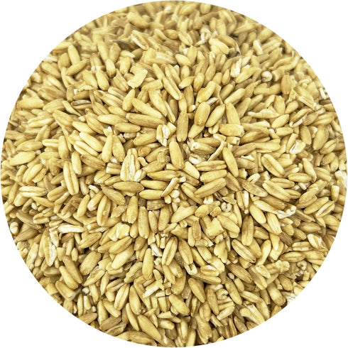 Packed 2Lbs PACIFIC Organic Petfood Organic Feed Oat Groats - Oat Groats for Birds | Rich with Fiber & Minerals | USDA