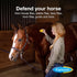 Farnam EQUI-SPOT Spot-on Protection for Horses, 6 Week Supply, 0.34 Fl Oz