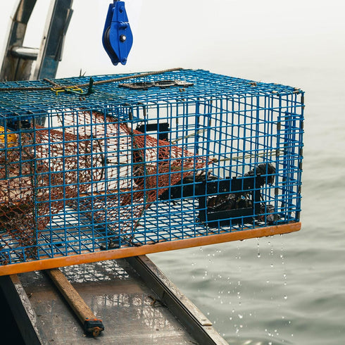 Teyva Daily 1100LB/0.5 Crab Pot Pulley Block Ton Heavy Duty Side Opening Crab Trap Pulley for Lobster Trap, Fishing