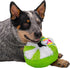 goDog Holiday Collection TPE-Plush Cool Mint Squeaky Dog Toy - Green/White, Chew Guard Technology