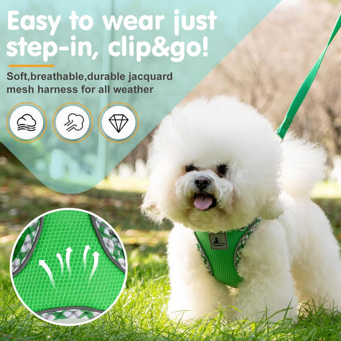 Dog Harness and Leash Set, No Pull Pet Harness for Small Dogs Easy Walking,Soft Breathable Small Dog Harness,Adjustable Reflective Step in Vest Harness for Puppy,kitten, Cats