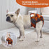 3 Pack WWD28XL CuteBone Washable Dog Diapers Female No Tail Hole Reusable Doggie Period Training Pants for Docked-Tail
