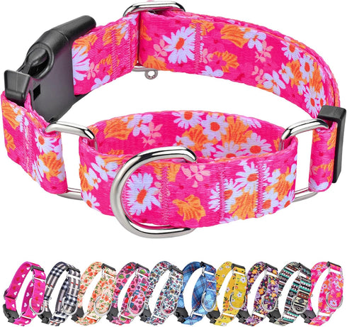 Martingale Collar for Dogs, Cute Floral Dog Collar for Small Medium Large Dogs, Spring Summer Daisy Dog Collars (Hot
