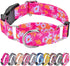 Martingale Collar for Dogs, Cute Floral Dog Collar for Small Medium Large Dogs, Spring Summer Daisy Dog Collars (Hot
