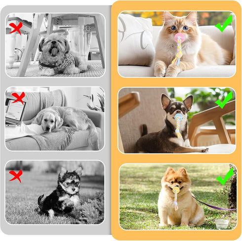 CIATBYYJ 3Pcs 3 Dog & Cat Pacifier with Rope, Small Pet Molar Clean Teeth Rubber Toy, Rubber Puppy Pacifier Chewing