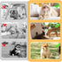 CIATBYYJ 3Pcs 3 Dog & Cat Pacifier with Rope, Small Pet Molar Clean Teeth Rubber Toy, Rubber Puppy Pacifier Chewing