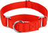 Country Brook Petz Martingale Dog Collar - Heavy-Duty No Buckle Training Collar for All Pups (Hot Orange, 1 Inch, Large)