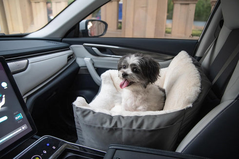 Best Pet Supplies Dog Booster Seat for Car, Truck, SUV - Soft Plush Cushion with Tall Pillow & Secure Straps, Gray