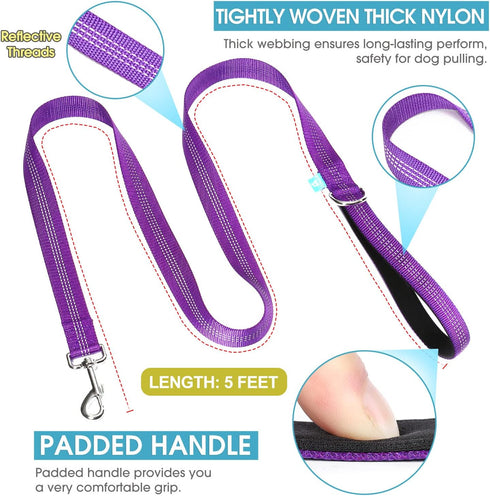 BAAPET 5 Feet Nylon Dog Leash, Triple Reflective Threads with Padded Handle for Walking Medium and Large Dogs (Purple)