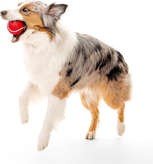 Playology Squeaky Dog Toy - Durable Rubber Interactive Fetch Ball for Large Dogs, Beef Scented Floating Dog Toy