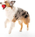 Playology Squeaky Dog Toy - Durable Rubber Interactive Fetch Ball for Large Dogs, Beef Scented Floating Dog Toy