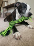 Jolly Pets Knot-N-Chew Large/X-Large Squeaker Dog Toy - Green/Black, JTJP043