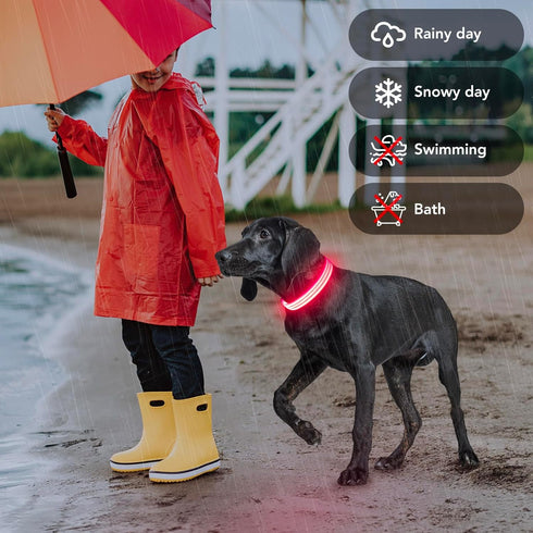 Light Up Dog Collars - Rechargeable Reflective LED Glow Dark for Small Medium Large Dogs, Adjustable Pet Lights for