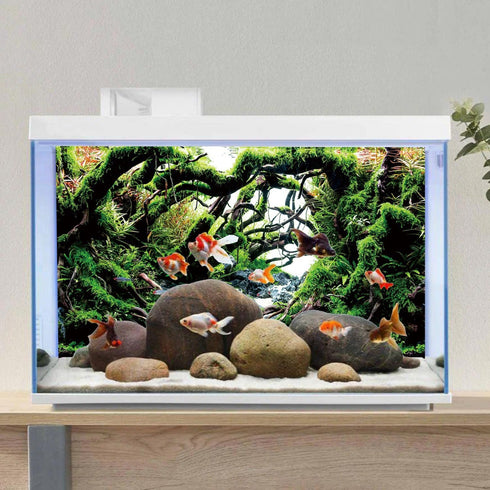 AWERT 24x16 inches Green Algae Fish Tank Background, River Bed & Lake Vinyl Aquarium Background