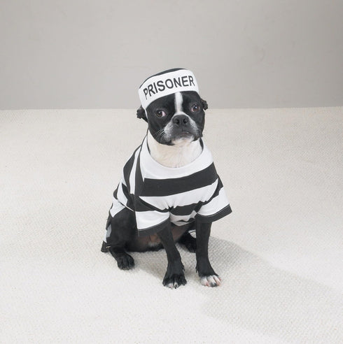 Prison Pooch Costume for Dogs, Medium, 16", Black and White