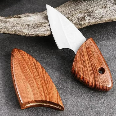 Portable Dolphin Shaped Pocket Knife, 10 PACK Utility Knives, 2.2 Inch, Suitable for Unpacking and Fruit Cutting