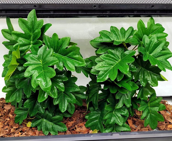 FLmoving Reptile Plants for Terrarium, Amphibian Habitat Decor Artificial Hanging Plants with Suction