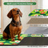 16"x30", 2 Pack Qeils Reusable Puppy Pads for Small Dogs, Washable Pee Pads with Non-Slip , Absorbent Leakproof Mat
