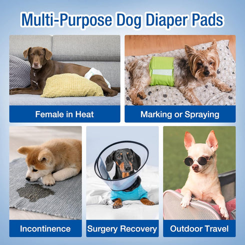 (Blue,S-100) Pet Soft Disposable Dog Diaper Liners Booster Pads - Fit for Most Washable Dog Diapers & Dog Belly Bands