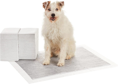 Amazon Basics Carbon Odor Control Dog and Puppy Pee Pads, 5-Layer Leak-Proof