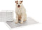Amazon Basics Carbon Odor Control Dog and Puppy Pee Pads, 5-Layer Leak-Proof