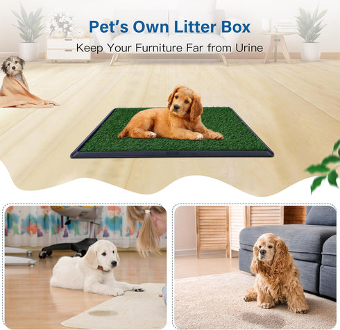 16 20 inch,Dog Pad2 Pack Artificial Grass for Dog Potty x Litter Box with Grass Strong Absorbency Grass Pad