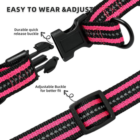 Mile High Life Night Reflective Double Adjustable Band Nylon Small Puppy Pet Dog Combo Collar Leash Set