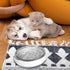 Small Glass Cat Food Bowls, Shallow Water Bowl for Cats, Kitties, and Small Dogs, Transparent Pet Feeding Bowl,