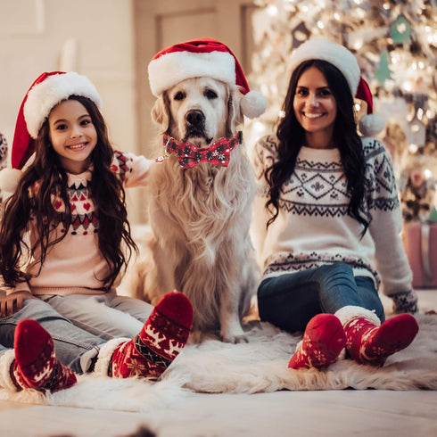 ADOGGYGO Christmas Dog Collar with Bow Tie Adjustable Dog Bowtie Collar Red Green Plaid Dog Christmas Collars for Small Medium Large Dogs Pets (X-Large, Christmas Bow)