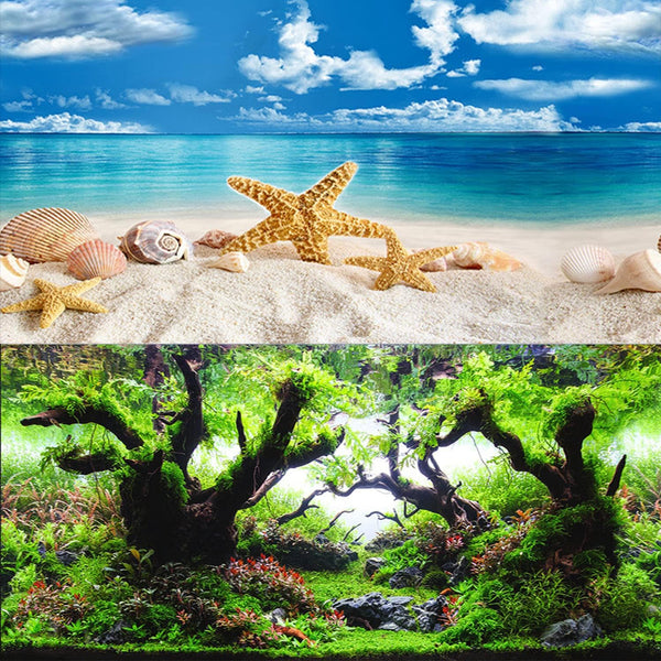 Fish Aquarium Background Poster with Starfish, Blue Sky, Beach, Shell, Seaweed (19" x 48")