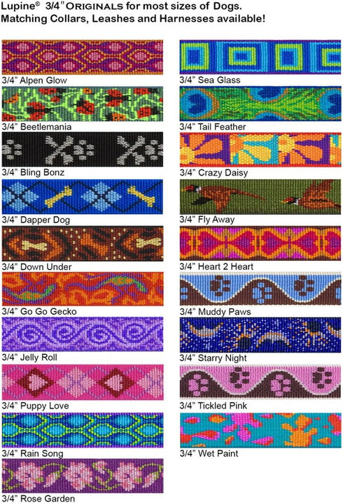 LupinePet Originals Martingale Collar, 3/4" Rose Garden, 10-14" for Small Dogs