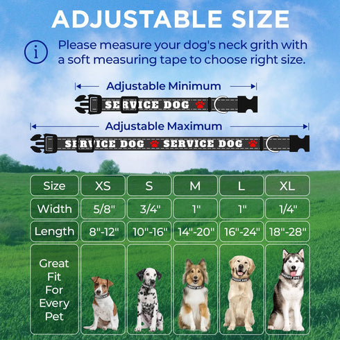 TECEUM Reflective Pet Collar, Extra Soft Padding, Basic Nylon Dog Collar with Quick Release for All Sizes