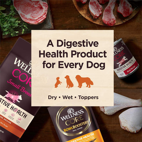 Wellness CORE Digestive Health Dry Dog Food, Highly Digestible, Real Chicken, 4-Pound Bag