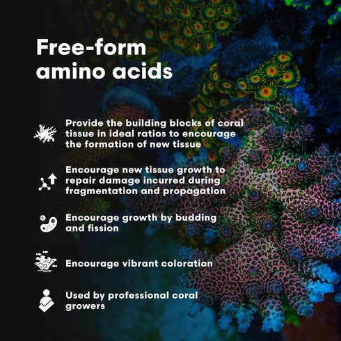 Brightwell Aquatics CoralAmino - 2.02 fl oz Complex of Amino Acids for Coral Growth, Saltwater Aquarium Food