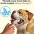 Vet-Recommended 60 Count Jasper Dog Dental Wipes, All-Natural Finger Toothbrush Wipes for Dogs, Fresh Breath & Tartar