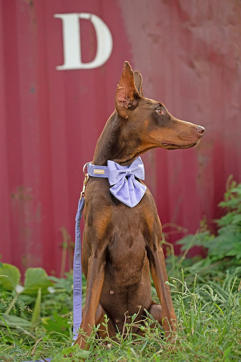 Unique Style Paws Purple Silk Dog Collar with Bow, Adjustable Durable Fashion Bowtie Collar for X-Large Dogs