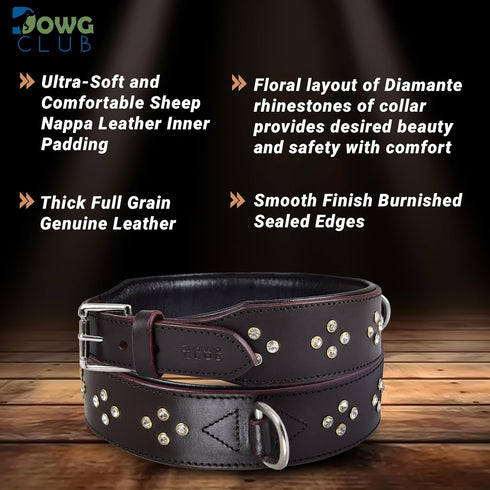 Genuine Leather ‘Cupola’ Series Dog Collar, Rhinestone, Soft Cushion Padding, Handmade (M, Neck Size 14.5"-18.5",