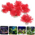 LIOOBO 10pcs Aquarium Decoration, Underwater Plant Model for Fish Tank, Simulation Aquatic Plant Decor for Small Tanks