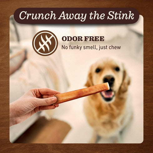 EVER FARM (6", 10 Pack) 100% Pet Odor-Free Extra Thick Jumbo Bully Sticks for Large Dogs All-Natural, Long-Lasting Dog