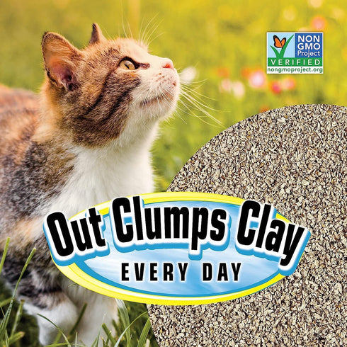 All Natural Clumping Cat Litter, 10 Pound (160oz 1 Pack), Alternative to Clay and Pellet Litter