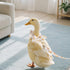Magnoloran Chicken Diapers for Hens, Roosters, Diapers for Ducks with Walking Leash, Reusable Pet Duck Diapers Chick