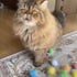 20PCS Extra Large 1.5INCH Cat's Favorite Chase Glitter Ball Toy, Sparkle Pom Pom Balls