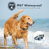 NBJU Bark Collar for Dogs, Rechargeable Anti Barking Training Collar with 7 Adjustable Sensitivity for Small Medium
