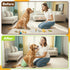 (3-Pack) (10-12 Pet Magasin Super Absorbent Reusable Dog Diapers for Females - Ideal Heat Solution, Washable Doggie