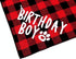 Dog Birthday Hat and Bandana Boy Set