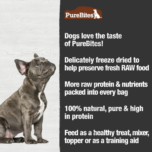PureBites Turkey Freeze Dried Dog Treats, 2.47oz, 1 Ingredient, Made in USA